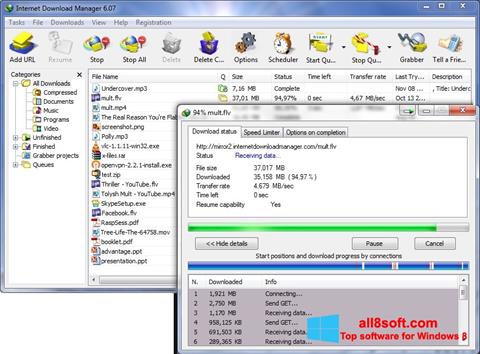 Ekrānuzņēmums Internet Download Manager Windows 8