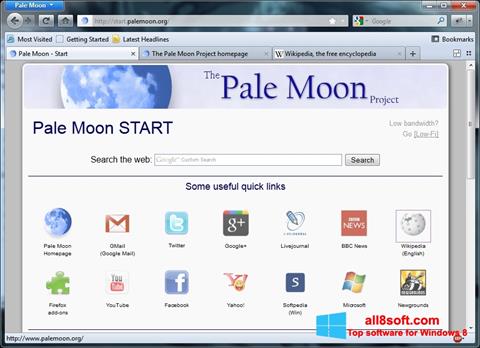 Ekrānuzņēmums Pale Moon Windows 8