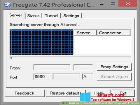 Ekrānuzņēmums Freegate Windows 8