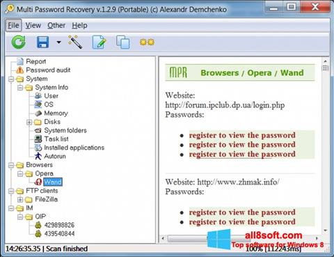Ekrānuzņēmums Multi Password Recovery Windows 8